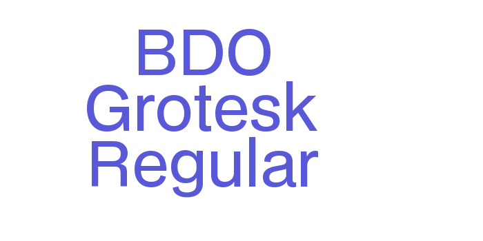 BDO Grotesk Regular Font Download