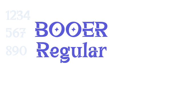 BOOER Regular font free