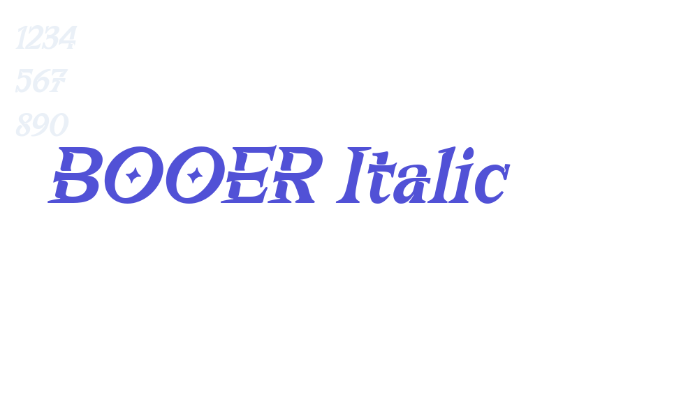 BOOER Italic-font-download