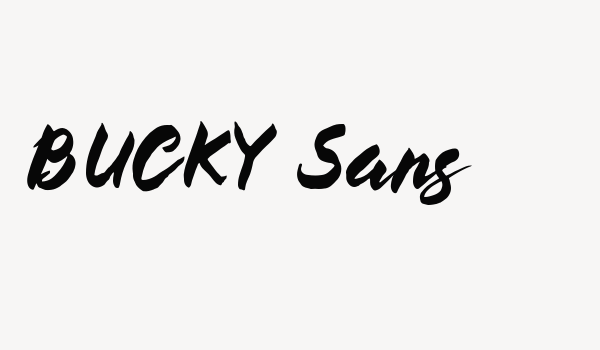 BUCKY Sans Font