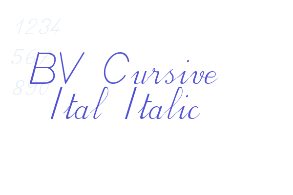 BV Cursive Ital Italic