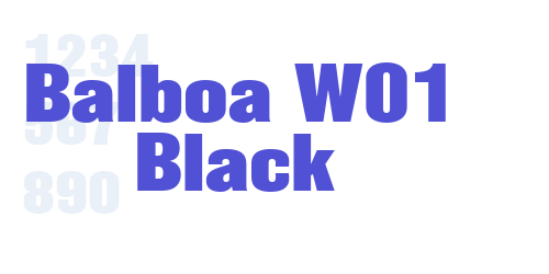 Balboa W01 Black