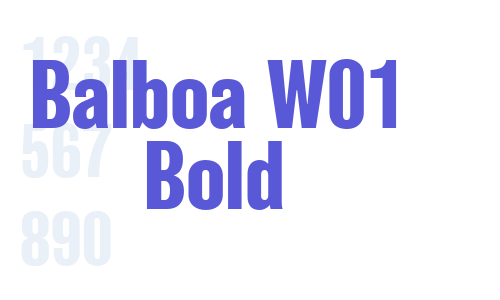 Balboa W01 Bold Font