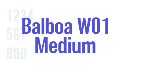 Balboa W01 Medium
