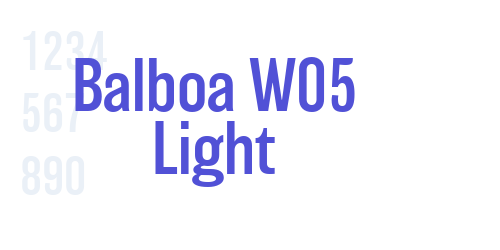 Balboa W05 Light