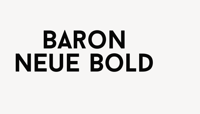 Baron Neue Bold font download