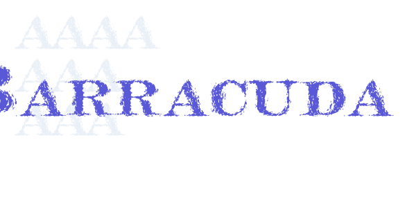 Barracuda font free