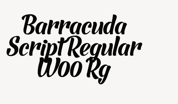 Barracuda Script Regular W00 Rg Font