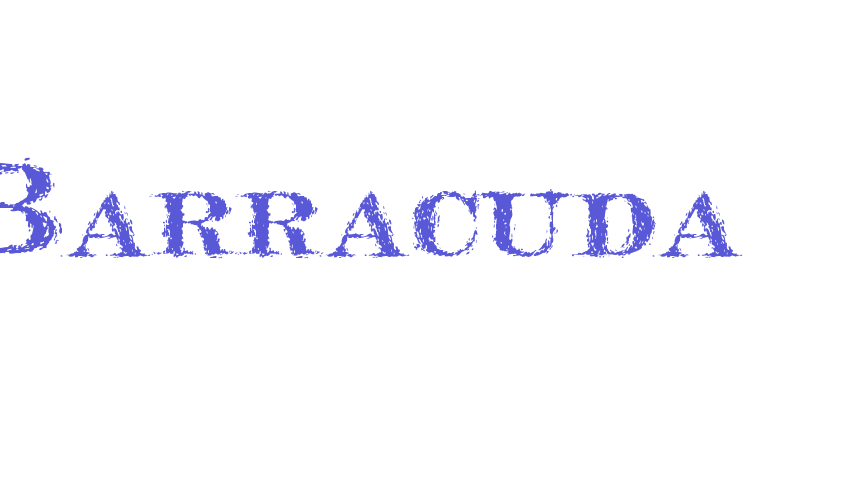 Barracuda Font Download