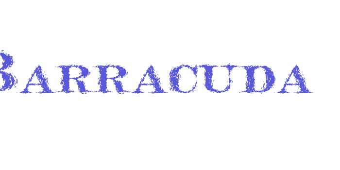 Barracuda Font Download