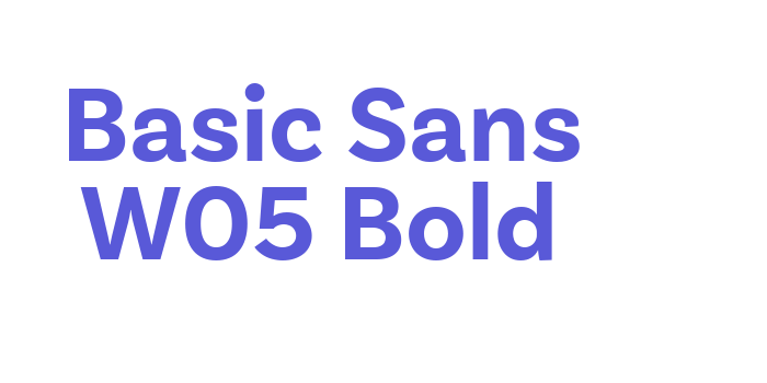 Basic Sans W05 Bold Font