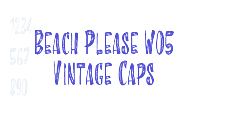 Beach Please W05 Vintage Caps-font-download