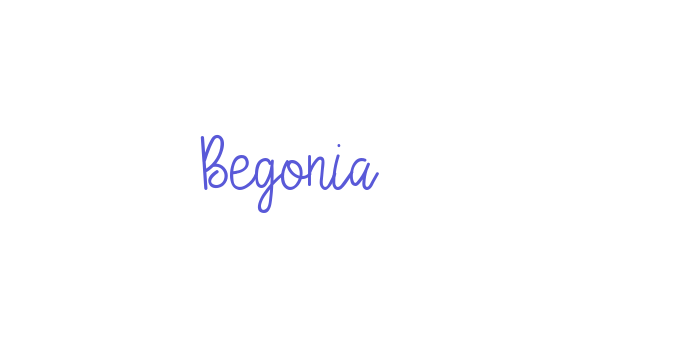 Begonia Font Download