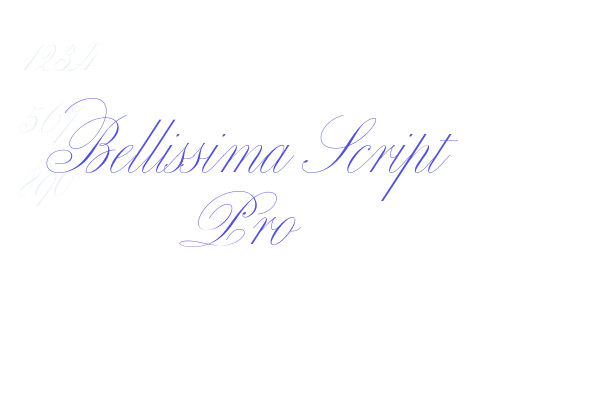 Bellissima Script Pro