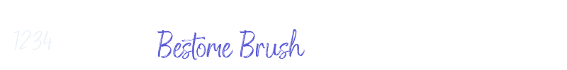 Bestome Brush