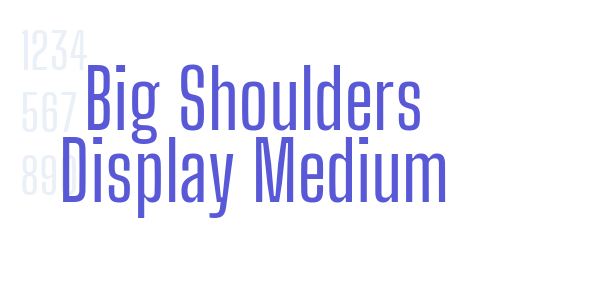 Big Shoulders Display Medium font free