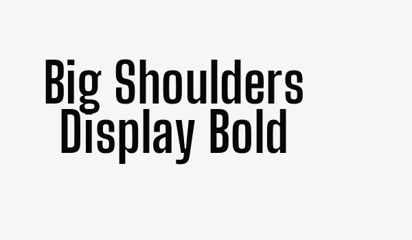 Big Shoulders Display Bold Font