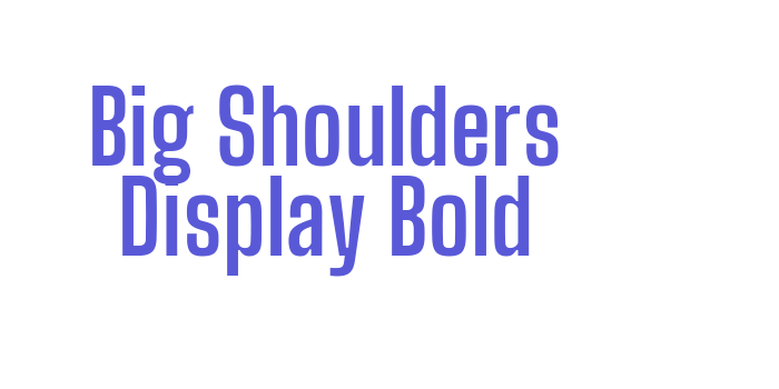 Big Shoulders Display Bold Font Download