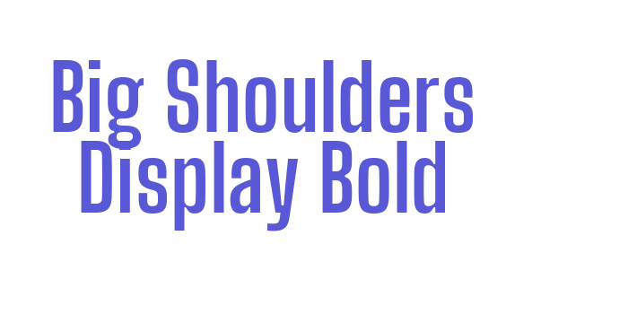 Big Shoulders Display Bold Font