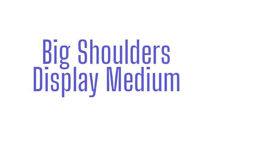 Big Shoulders Display Medium Font