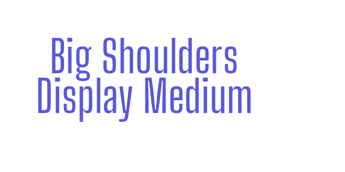 Big Shoulders Display Medium Font Download