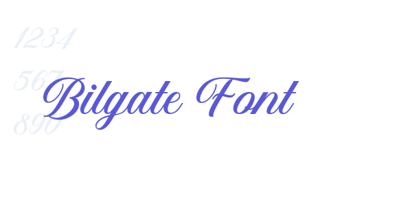 Bilgate Font font free