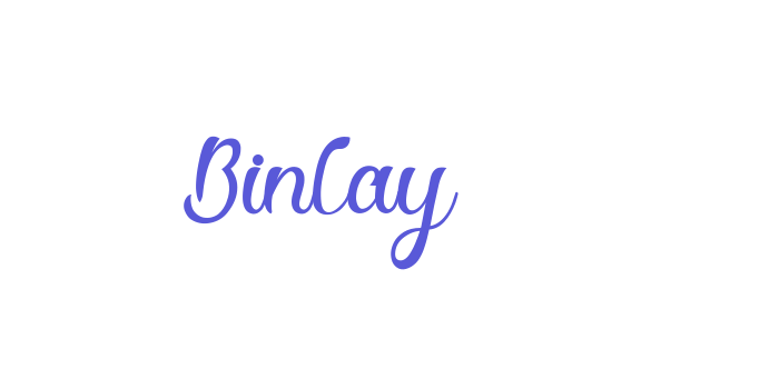 Binlay Font