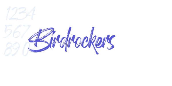 Birdrockers font free