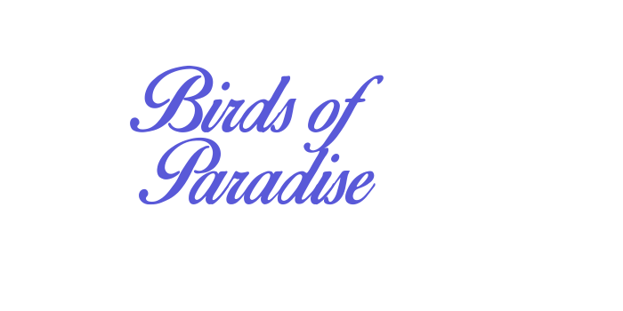 Birds of Paradise Font Download