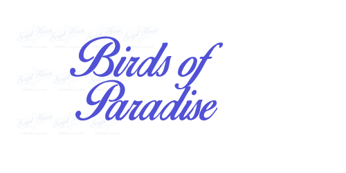 Birds of Paradise-font-download