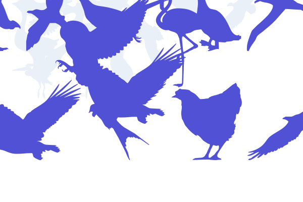 Birds of a Feather Font Download