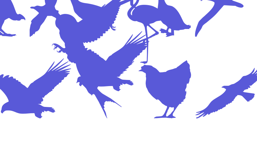 Birds of a Feather Font Download