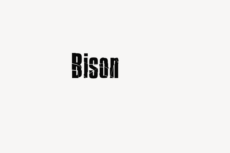 Bison font download