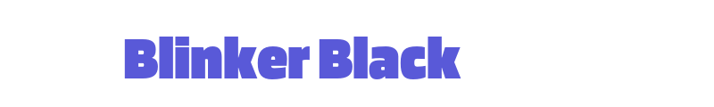 Blinker Black