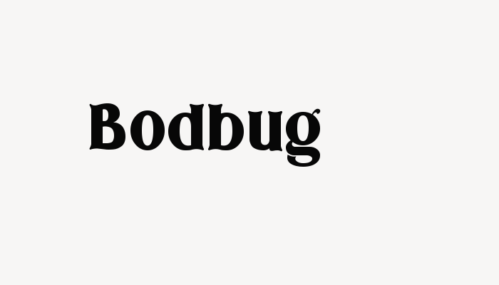 Bodbug font download