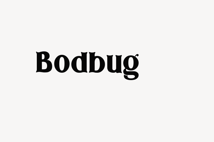 Bodbug font download