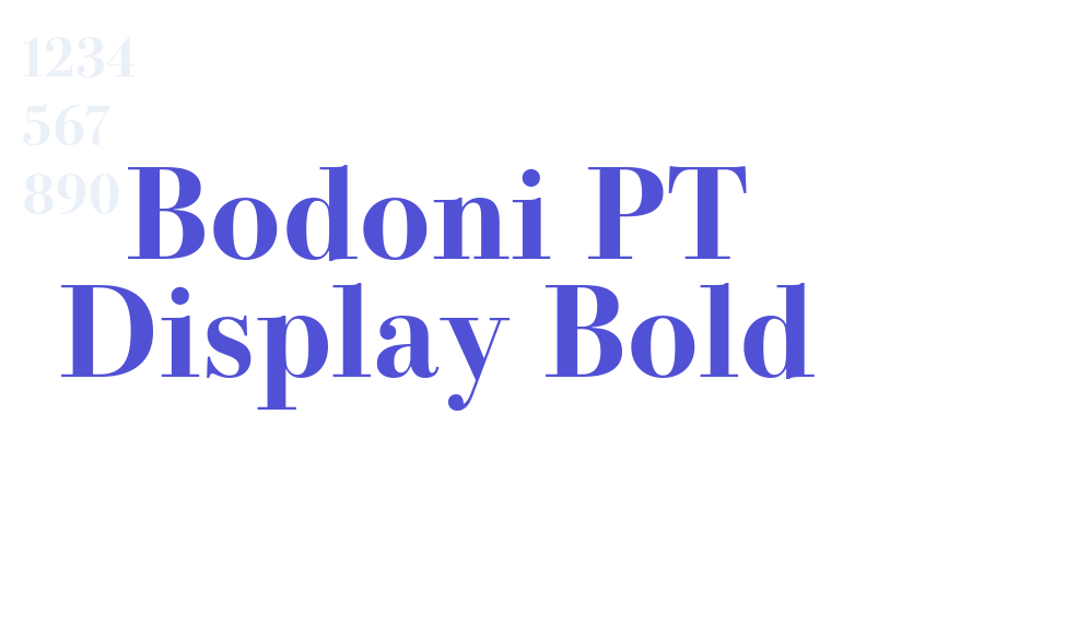 Bodoni PT Display Bold-font-download