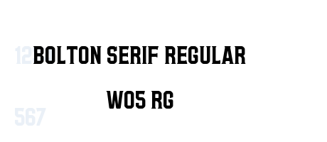 Bolton Serif Regular W05 Rg