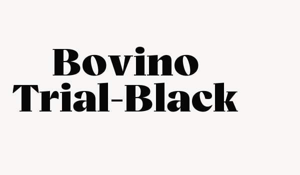 Bovino Trial-Black Font