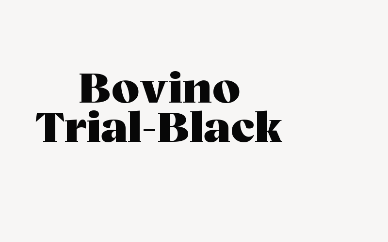 Bovino Trial-Black Font