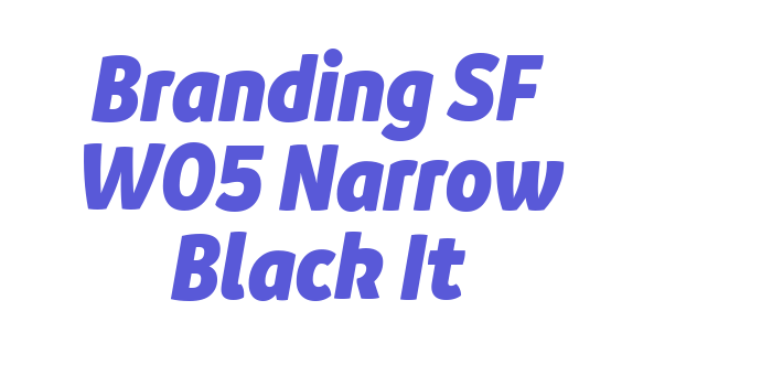 Branding SF W05 Narrow Black It Font Download