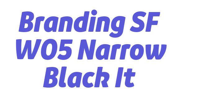 Branding SF W05 Narrow Black It Font