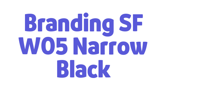 Branding SF W05 Narrow Black Font Download