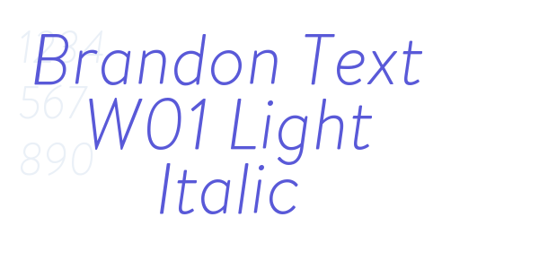 Brandon Text W01 Light Italic font free