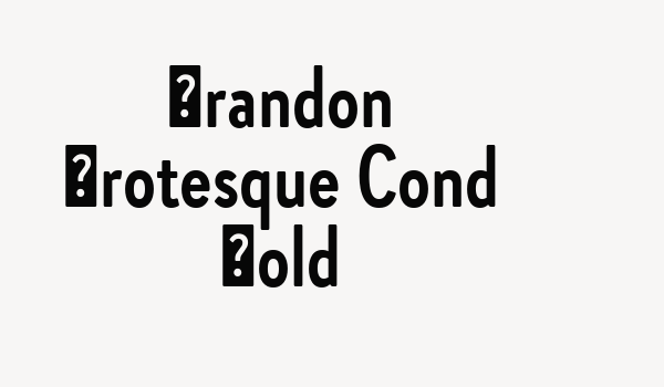 Brandon Grotesque Cond Bold Font