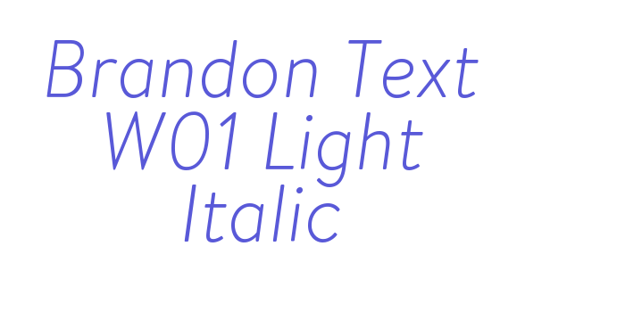 Download Brandon Text W01 Light Italic Font