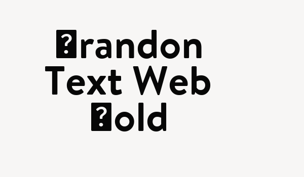 Brandon Text Web Bold Font