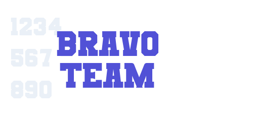 Bravo Team-font-download