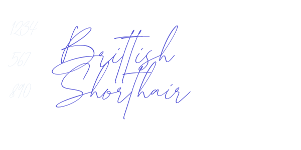 Brittish Shorthair font free