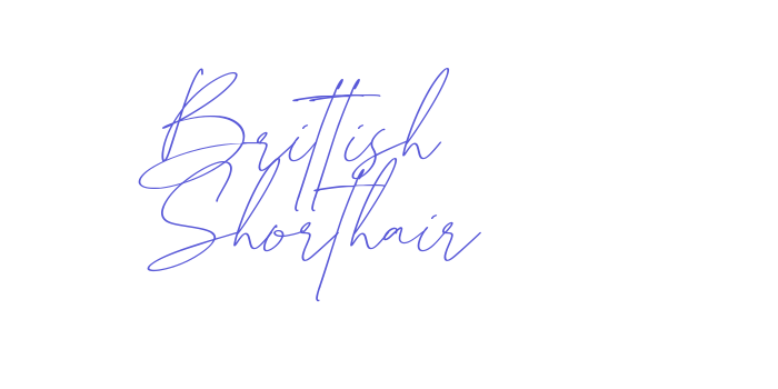 Brittish Shorthair Font Download